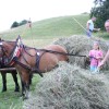 img_5375_000.jpg
