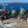 santorini, osli.jpg