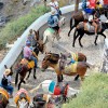 santorini, osli.jpg