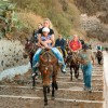 santorini, osli.jpg