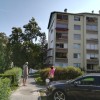 jakceva14.jpg