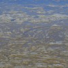 sloj_pene_na_savi_he_bre_ice_2018_08_05__12_.jpg