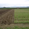 p8050087_000.jpg