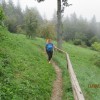 pohod_bosonogih_na_mirno_goro_076.jpg
