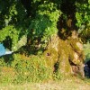 turska_023.jpg