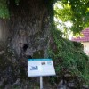 turska_013.jpg