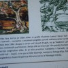 turska_015.jpg