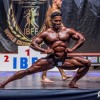 bodi_018.jpg