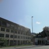 Požar STT