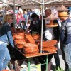 sejem011.jpg