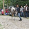 img_4215_28_1_000.jpg