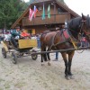 img_4202_16_1_000.jpg