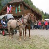 img_4199_13_1_000.jpg