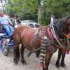 img_4191_7_1_000.jpg