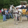 img_4209_22_1_000.jpg