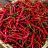 pekoča paprika.jpeg