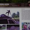 kopa_003.jpg