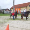 konji_012.jpg