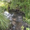 _zzzdsc_4075.jpg