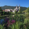 kocevje_vasja_mainc_0bd6411fd6.jpg