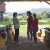 lenk7239.jpg
