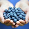 tema_LCHF_ThinkstockPhotos-492576367.jpg