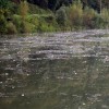 sava_net.jpg