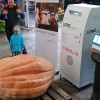 mozirski_gaj_najtezja_buca_2018_08.jpg