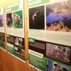 img_6612.jpg