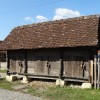 _nkumrovec__02_.jpg