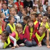 pavcek01.jpg