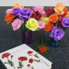 img_3835__large_.jpg