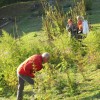 img_4807_16_1_000.jpg