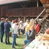 _zzsokcev__8_.jpg