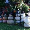 img_7219_000.jpg