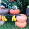 img_7225_000.jpg