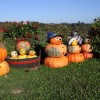 img_7205_000.jpg