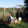 img_7221_000.jpg