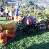 img_7244_000.jpg