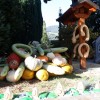 img_7198_000.jpg