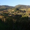 img_7252_000.jpg