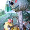 img_7236_000.jpg