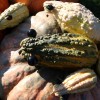 img_7214_000.jpg
