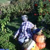 img_7206_000.jpg