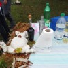 dsc04295.jpg
