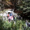 kostanjev_piknik_na_mg_2018_pd_in_mo_43.jpg