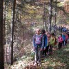 kostanjev_piknik_na_mg_2018_pd_in_mo_42.jpg