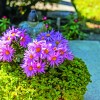 grobovi shutterstock_1199733040.jpg