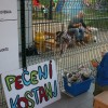 tetka_jesen_radece___03.jpg