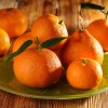 mandarine.jpg